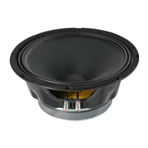 10 Inch 12 Inch Car Speaker Loudspeaker Midrange Speaker (LZ107-10M/12M)
