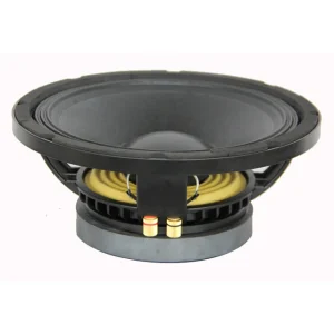 10 Inch 120W RMS Pro Audio Loudspeakers Subwoofer Speaker