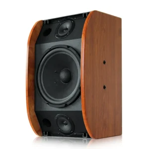 10-Inch 200W Professional Home Theater Sound System Speaker Passive PA System for Parties Karaoke