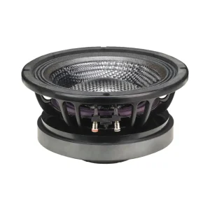 10 Inch 800W High Power Full Range Aluminium Speaker HYW-10100-020 8 Ohm Impedance AC 110-240V DC 12-24V Surround
