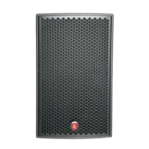 10 Inch Big Speakers Home Audio Party Neodymium Professional Sound Full Range Speaker