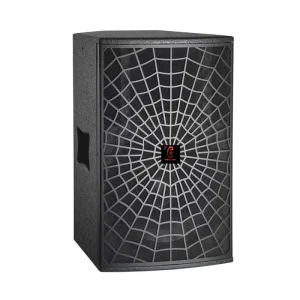 10 Inch Front Loaded Professional Full Range Speaker Neodymium 600W Max Power Hi Res Audio for Bars Karaoke Rooms Nightclubs