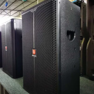 10 Inch Multi Use Two way Full Range PA Speaker Pro Speaker Indoor Outdoor Waterproof Speakers Audio System Sound Professional