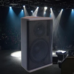 10 Inch Multi Use Two way Full Range PA Speaker Pro Speaker Indoor Outdoor Waterproof Speakers Audio System Sound Professional