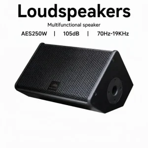 10 Inch Premium Professional Loudspeakers Audio PA System, Net Weight 10.8kg, Multi Scene Optional for Stage Different Venues