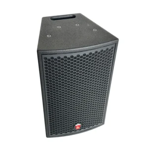 10 Inch Studio Speakers Dlms Speaker Management Home Theater Professional Audio