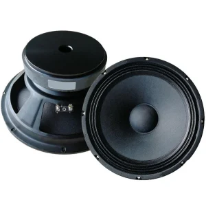 10 Inch Woofer Car Speakers 300W Speaker for Conference and Entertainment Private Rooms