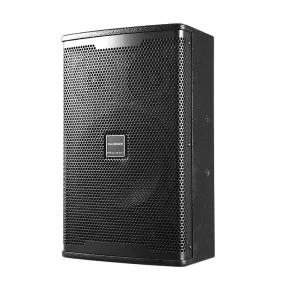 10 Professional Audio Speakers 200W Karaoke Speakers for Conference Presentation Stage Performances