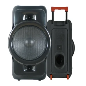 1000W 12-Inch Portable Wireless RGB LED Karaoke Speaker with AUX Input for Outdoor Parties
