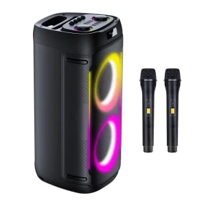 1000W Party Box 710 Two 6.5 Inch Woofer Active Professional Party Speaker with Bluetooth Karaoke Mic for Home and Outdoor Use