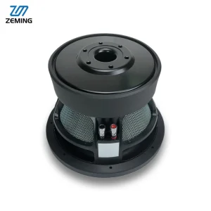 1000w Subwoofer Speaker Home Theater Speaker Dual 10 Inch Subwoofer Speaker