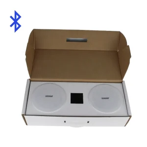 100V Passive Ceiling Speaker System for Background Music