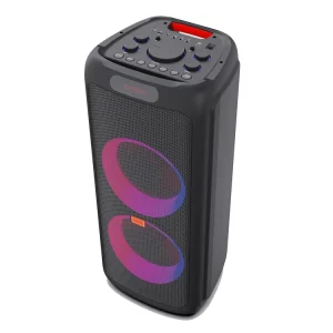 100W Private Dual 10 Inches Home Pod Speaker Box with Flame Light