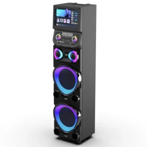 100W Subwoofer Karaoke Speaker With 15.4 inch Touch Display Screen Outdoor High Power Mobile KTV With Wireless Microphone