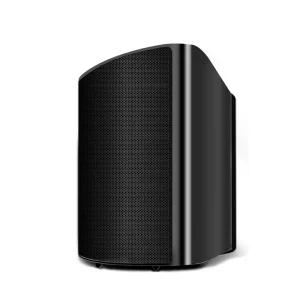 100W Wall Mounted Speaker WiFi 2.4G 5G for 5.4 USB AUX APP Control Multi-room HiFi Wireless Audio System