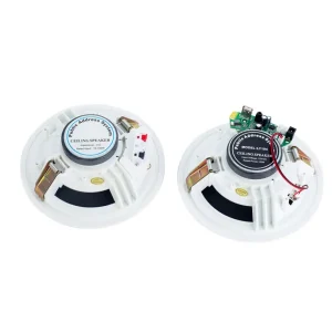 10W 6 Inch Coaxial Passive Ceiling Speaker Coaxial Design Ideal for clear Audio in Large Spaces Customizable Bluetooth Name