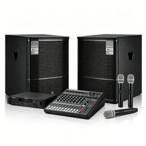 12 Inch Active Subwoofer with DSP Processing High Power Ultra Low Bass Speaker Portable PA System for Mobile Stage Performance