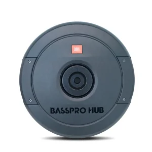 12 Inch BASSPRO HUB 12 Car Subwoofer Speaker & Horn