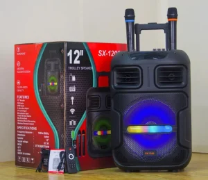 12 Inch Battery Wireless Trolley Speaker with Mic Karaoke Audio System for Home Theater Party