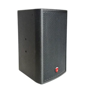 12 Inch Mid Range Speaker Magnetic Speaker Concert
