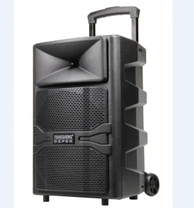 12 Inch Outdoor Speaker with Rechargeable Battery Connection FM Radio Karaoke Party Dance Box Trolley BT Speaker