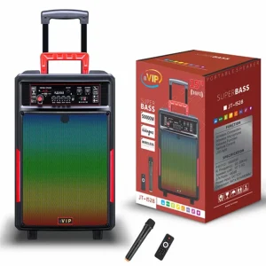 12 Inch Rechargeable Wireless Party Trolley Outdoor PA Speaker Karaoke