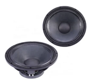 12 Inch Stage Speaker and PA Speaker for Professional Audio Use