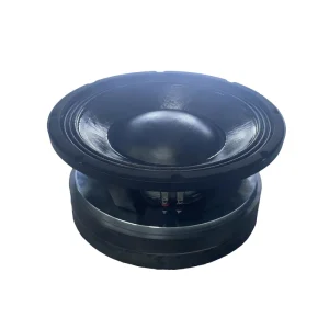12 Inch Subwoofer Speaker 2000W High Power Dual Magnets 280mm 5 inch Voice Coil High quality Speaker