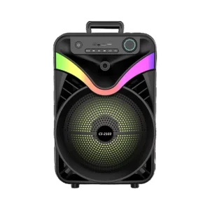 12 Inch Subwoofer Speaker Portable Wireless Party Box with Big Sound for Outdoors for Parties and Events