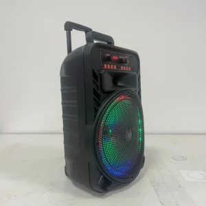12-inch 20W Outdoor Portable Wireless Karaoke Speaker 1 Mic RGB Lights Bass BT USB FM Radio Party Trolley Telescopic Handle