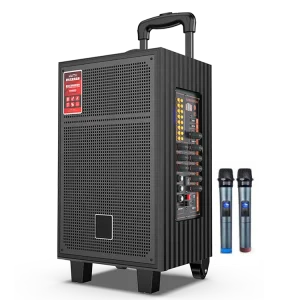 120W 12 Inch Wooden Trolley Speaker TWS DC 12V 7A Rechargeable Wood Outdoor Audio With MIC