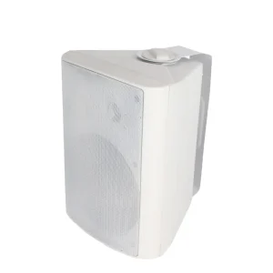 124B 5 Inch 30W Stable Quality Indoor Mount Professional Passive Speaker Wall Mounting Loudspeaker