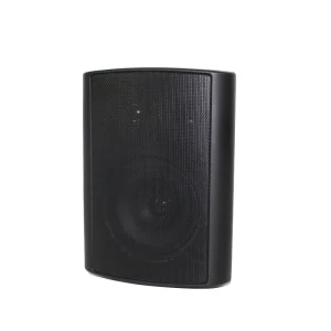 124C 6.5 Inch 40W PA System Indoor Passive Wall Mount Speaker