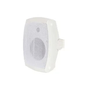 126 6.5 Inch 30W Voltage Input Wall Mount Multiroom Classroom System Speaker for School PA System