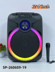 12Inch RGB Bluetooth Party Speaker Portable Wireless Karaoke Speaker 15W with Wireless Microphone TWS FM USB LED Outdoor Speaker