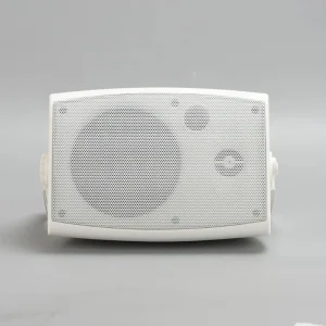 137A High Quality PA System Wall Mounted Home Theatre Speaker 10-30W Two Way Audio Crossover 8 Impedance 100Hz-20kHz Frequency