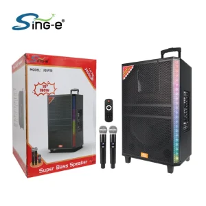 15 Inch Heavy Duty Karaoke Speaker Wireless Mic BT Ideal for Stage Performance Square Dance Home KTV