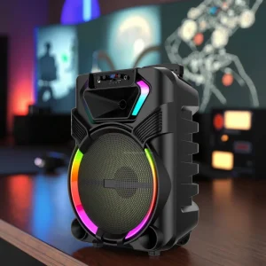15 Inch Outdoor Portable Karaoke Speaker with Built in Microphone USB TF Card FM Radio RGB LED Lights Wireless Mic