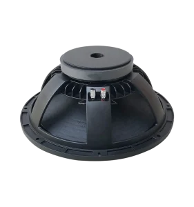15 Inch PA Speaker with Steel Basket