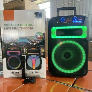 15 Inch Plastic Trolley Speaker Wireless Microphone 60W High Power RGB LED Battery AUX for 5.3 Party Outdoor Audio
