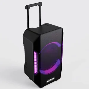 15 Inch Professional Audio Powered PA Speaker System Sound Box BT DSP Mixer Guitar Echo Dual AUX