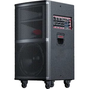 15 Inch Professional Stage Active PA Speaker with Microphone Powered 3-Way Professional Speakers