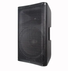 15 Inch Speaker Box Private Cabinet RMS Active PA Speaker System
