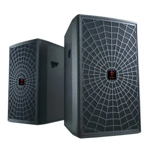 15 inch Front-loaded Professional Speaker Full Range Speaker Specially Designed for Bars Karaoke Rooms Sound System Speaker
