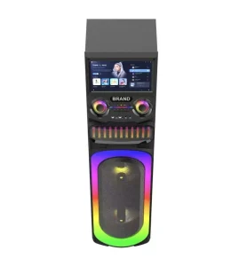 15.4inch Touch Screen RGB LED 100W Wi-Fi USB Wired Microphone Input Android 11 Outdoor Karaoke & Party Speaker Built-in Battery