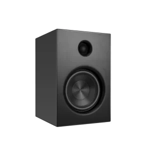 150W Built in DAC and DSP Professional Studio Monitors Bookshelf Bluetooth System Speaker Sound Equipment speaker