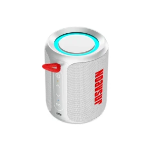 15W Bluetooth Speaker IPX6 Waterproof TWS Stereo Pairing 2500mAh Battery Accept Custom Logo for Gifts