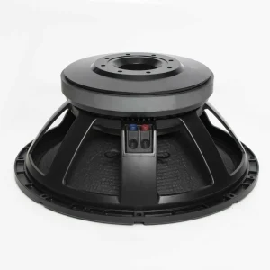 18 Inch Outdoor PA Speaker 280 Magnet High Performance Professional Speaker 2000w RMS Subwoofer 18280