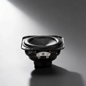 2 Inch 52mm 4 7W Full Range Dual Magnet Flush Mount Speaker 81dB Sensitivity 120Hz-16kHz for Compact Audio Systems