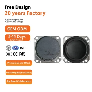 2 Inch Full Range Metal Iron Car Loudspeaker Mini Full Range Speaker Unit Two way Crossover 5 10W Output for Automotive Audio
